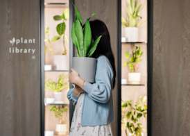 Dao by Dorsett AMTD Singapore 3