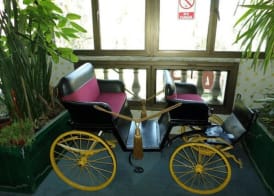 Hotel Foresta 4