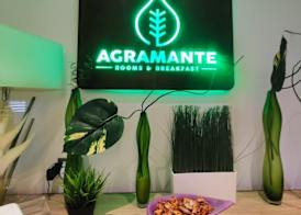 Agramante 2