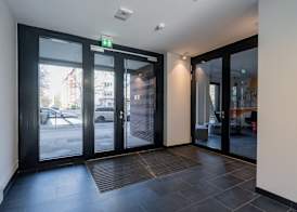 Homaris Kreuzberg 61 2