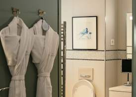 The One Alma Paris 5