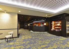 Ginza Capital Hotel Akane 3
