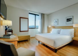 Hesperia Vigo 4