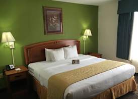 Hotel Del Valle - Austin SE by IHG 4