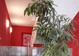 Ricks City Hotel 2