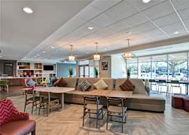 Home2 Suites By Hilton Tampa USF Near Busch Gardens 4