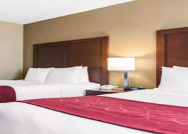 Comfort Suites Tampa Airport North 4