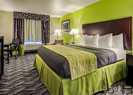 Best Western Mt. Vernon Inn 5