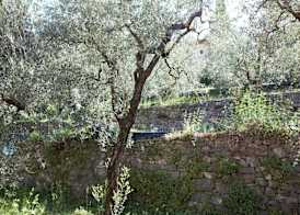 Hotel Paradiso Conca d'Oro 3