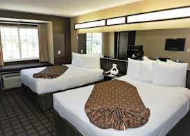 Microtel Inn & Suites by Wyndham Jacksonville Airport 3