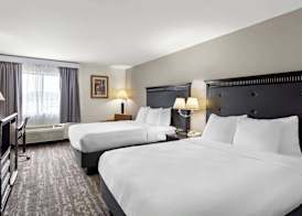 Best Western Saluki Inn 4