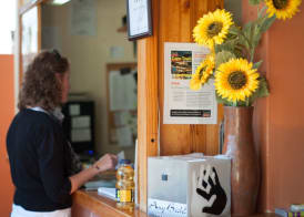 A Sunflower Stop Backpackers 3