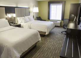Holiday Inn Express GRAND RAPIDS SW by IHG 2