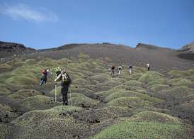 Sotto Il Vulcano 2