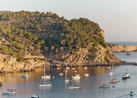 Cala San Miguel Ibiza Resort, Curio Collection by Hilton 4