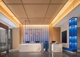 Holiday Inn Express Shenzhen Baolong Metro Station by IHG 2