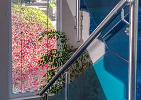 Apartments Duje 4