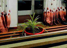 Ella Village View Homestay 4