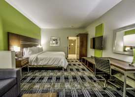 Holiday Inn Express & Suites DALLAS NW - FARMERS BRANCH by IHG 5
