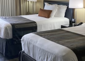 Wingate by Wyndham Springfield 4