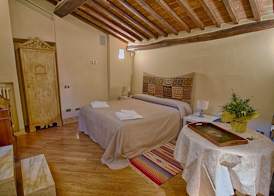 Rinidia Siena Centro 4