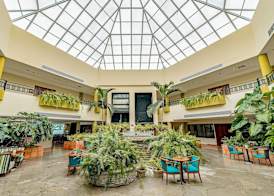 Hodelpa Garden Suites - All Inclusive 5