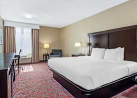 Comfort Inn & Suites North Charleston - Northwoods 5