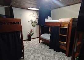 Monteverde Monkey Hostel 3