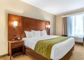 Comfort Suites San Antonio Ft Sam Houston-SAMMC Area 4