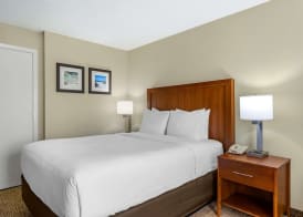Comfort Inn & Suites St Pete - Clearwater International Airport 5