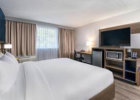 Comfort Suites Kingston Central 5