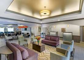 Comfort Inn & Suites 4