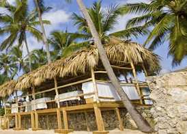 Tribe Resorts 2