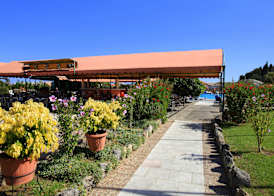 Panorama Sidari - All Inclusive 5