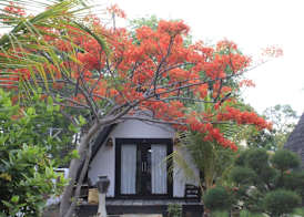 Kaluku Gili Resort 4