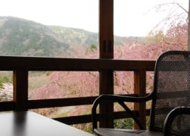 Hakone Kowakien Mikawaya Ryokan 2