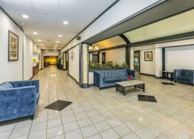 Comfort Inn & Suites 5