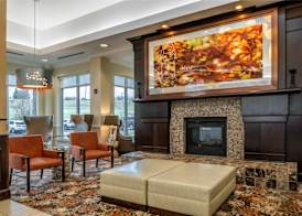 HILTON GARDEN INN ST. LOUIS AIRPORT 5