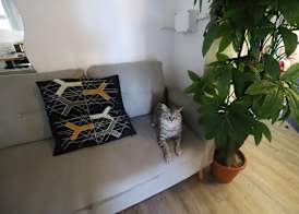 Guest House Pirelli Milano 3
