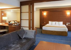 Holiday Inn ISTANBUL CITY by IHG 5