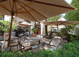 Holiday Inn NICE by IHG 5
