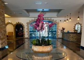 Navarria Blue Hotel 2