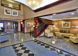 Holiday Inn Express & Suites WOODHAVEN by IHG 3