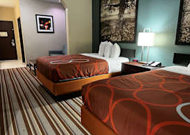 Super 8 by Wyndham Port Arthur/Nederland Area 4