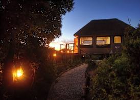 Addo Elephant Safari Lodge - Bellevue Forest Reserve 4