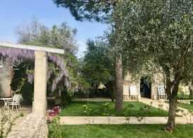 Tenuta Sidore 4