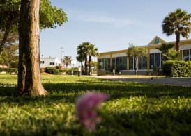 Grupoandria Aparthotel Club Andria 2
