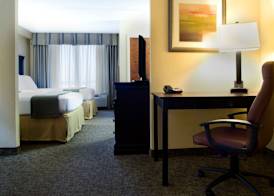 Holiday Inn Express & Suites DALLAS FT. WORTH AIRPORT SOUTH by IHG 5