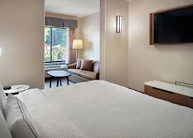 Fairfield Inn & Suites by Marriott Asheville Airport/Fletcher 5