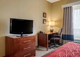Comfort Inn DFW Airport North 4